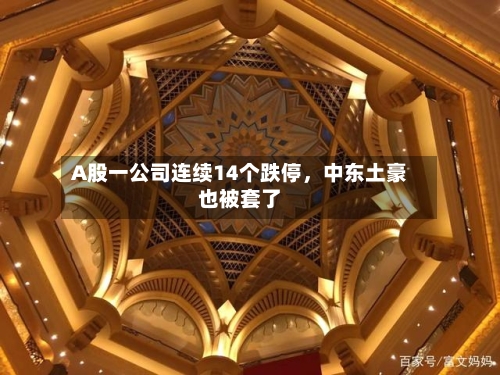 A股一公司连续14个跌停，中东土豪也被套了-第2张图片