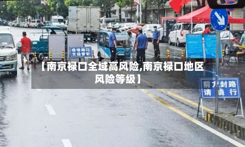 【南京禄口全域高风险,南京禄口地区风险等级】-第3张图片