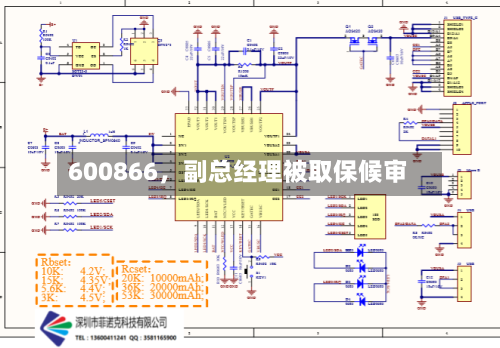 600866，副总经理被取保候审-第2张图片