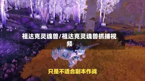 祖达克灵魂兽/祖达克灵魂兽抓捕视频