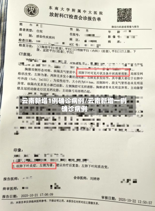 云南新增1例确诊病例/云南新增一例确诊病例