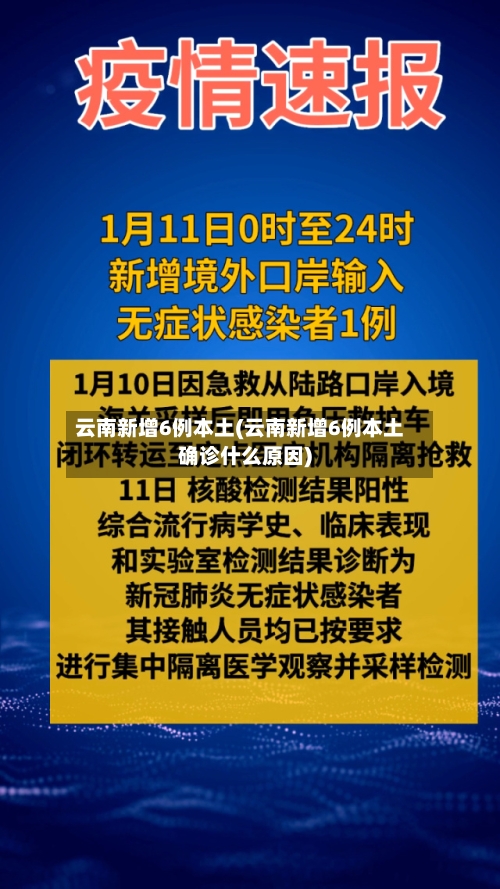 云南新增6例本土(云南新增6例本土确诊什么原因)
