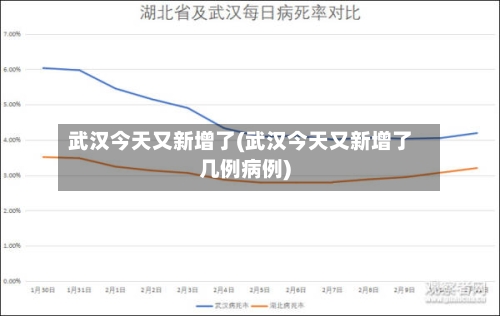 武汉今天又新增了(武汉今天又新增了几例病例)
