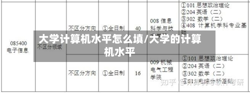 大学计算机水平怎么填/大学的计算机水平