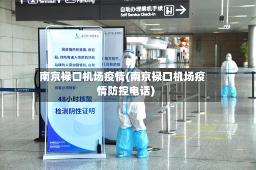 南京禄口机场疫情(南京禄口机场疫情防控电话)-第2张图片