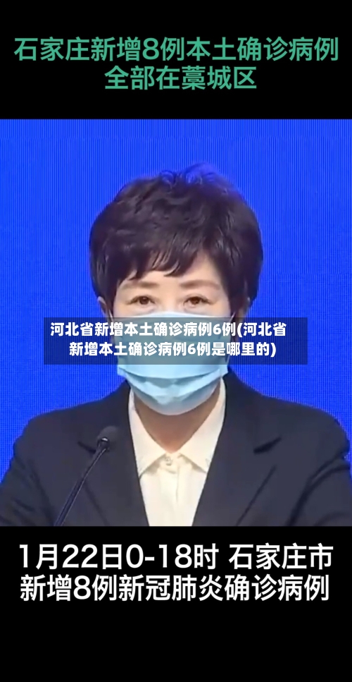 河北省新增本土确诊病例6例(河北省新增本土确诊病例6例是哪里的)-第2张图片
