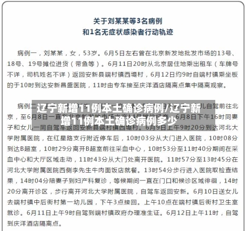 辽宁新增11例本土确诊病例/辽宁新增11例本土确诊病例多少-第3张图片
