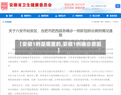 【安徽1例是哪里的,安徽1例确诊原因】-第2张图片