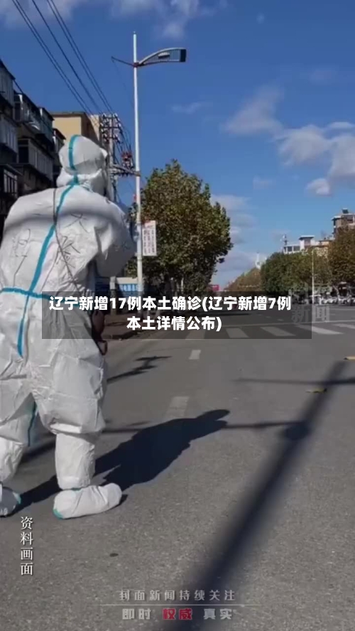 辽宁新增17例本土确诊(辽宁新增7例本土详情公布)-第2张图片