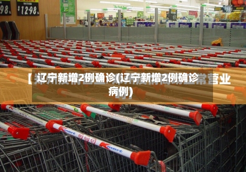 辽宁新增2例确诊(辽宁新增2例确诊病例)-第2张图片