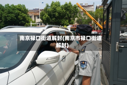 南京禄口街道解封(南京市禄口街道解封)