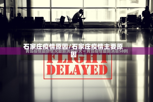石家庄疫情原因/石家庄疫情主要原因-第2张图片