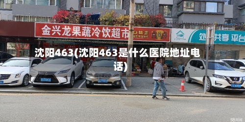 沈阳463(沈阳463是什么医院地址电话)