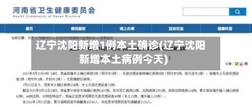 辽宁沈阳新增1例本土确诊(辽宁沈阳新增本土病例今天)