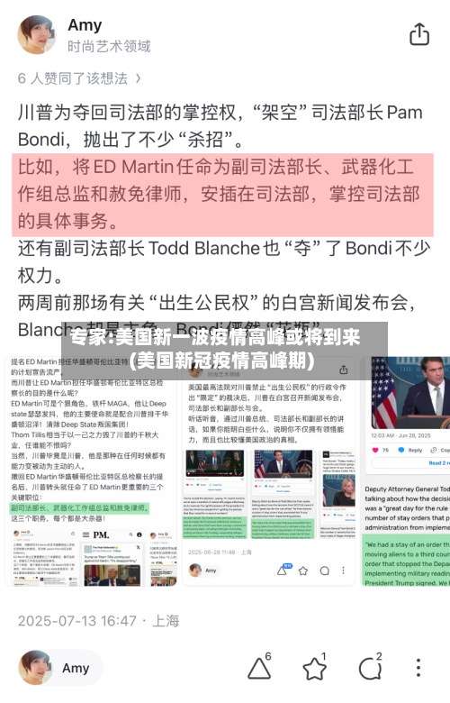 专家:美国新一波疫情高峰或将到来(美国新冠疫情高峰期)-第2张图片