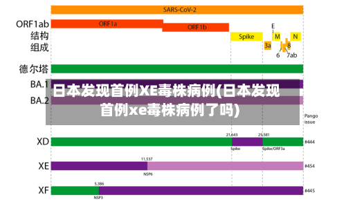 日本发现首例XE毒株病例(日本发现首例xe毒株病例了吗)