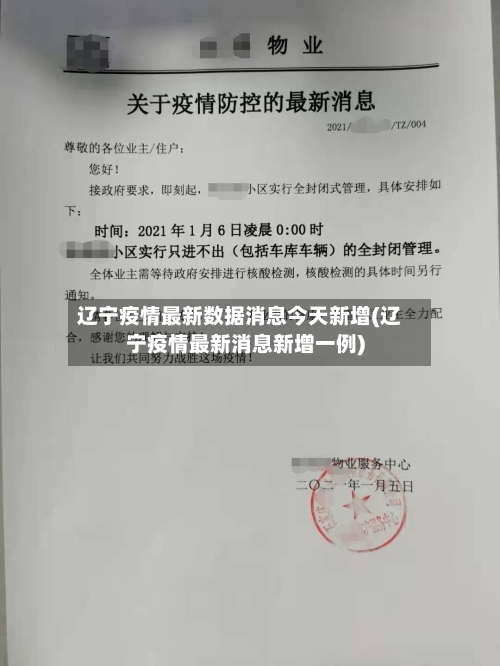 辽宁疫情最新数据消息今天新增(辽宁疫情最新消息新增一例)-第2张图片