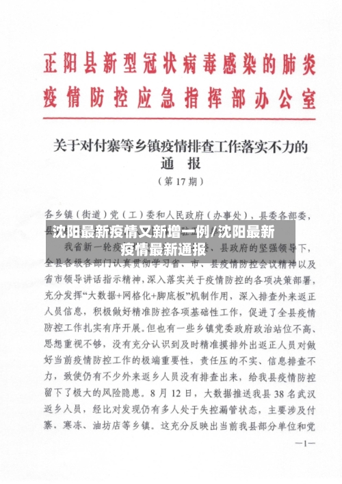 沈阳最新疫情又新增一例/沈阳最新疫情最新通报-第2张图片