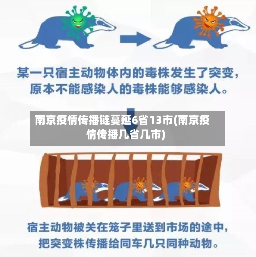 南京疫情传播链蔓延6省13市(南京疫情传播几省几市)-第3张图片