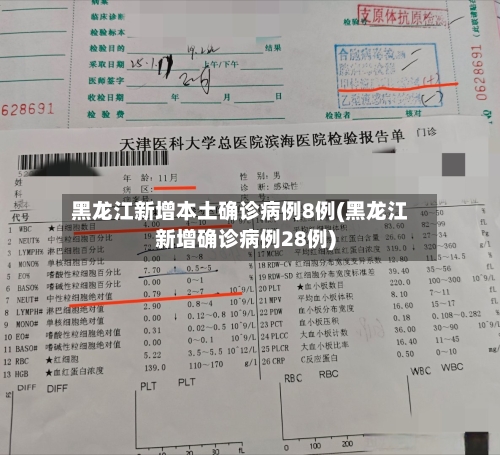 黑龙江新增本土确诊病例8例(黑龙江新增确诊病例28例)-第2张图片