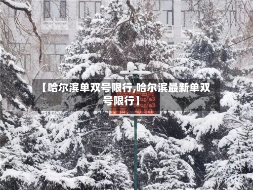 【哈尔滨单双号限行,哈尔滨最新单双号限行】