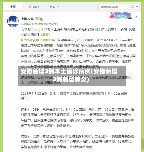 安徽新增3例本土确诊病例(安徽新增3例新型肺炎)-第2张图片
