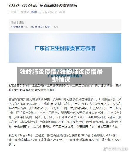 铁岭肺炎疫情/铁岭肺炎疫情最新情况-第2张图片