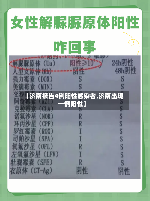 【济南报告4例阳性感染者,济南出现一例阳性】-第2张图片