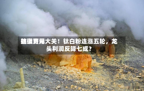 硫磺费用站上万元大关！钛白粉连涨五轮，龙头利润反降七成？-第2张图片