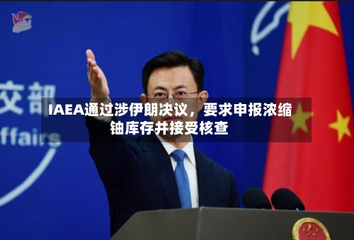 IAEA通过涉伊朗决议	，要求申报浓缩铀库存并接受核查-第3张图片