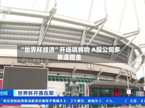 “世界杯经济	”开场哨将响 A股公司多赛道掘金-第2张图片