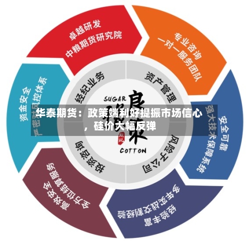 华泰期货：政策端利好提振市场信心，硅价大幅反弹-第3张图片