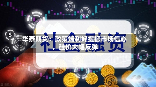 华泰期货：政策端利好提振市场信心	，硅价大幅反弹-第2张图片