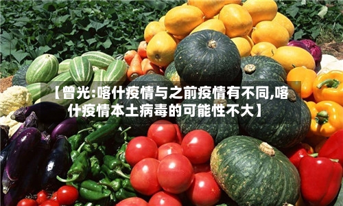 【曾光:喀什疫情与之前疫情有不同,喀什疫情本土病毒的可能性不大】-第3张图片