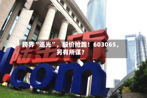 跨界“追光	”，股价抢跑！603065	，另有所谋？-第2张图片