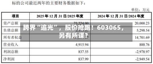 跨界“追光”，股价抢跑！603065	，另有所谋？-第3张图片