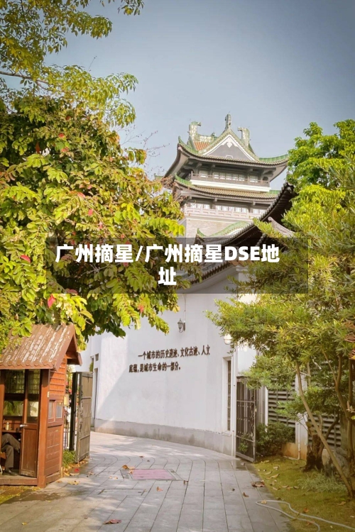 广州摘星/广州摘星DSE地址-第3张图片