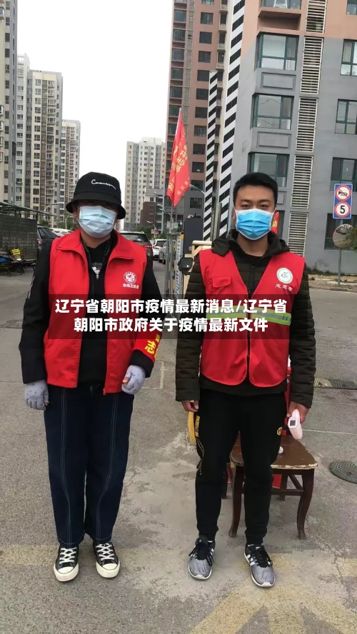 辽宁省朝阳市疫情最新消息/辽宁省朝阳市政府关于疫情最新文件-第3张图片