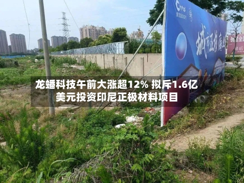 龙蟠科技午前大涨超12% 拟斥1.6亿美元投资印尼正极材料项目