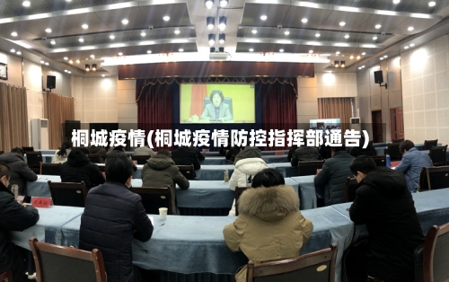 桐城疫情(桐城疫情防控指挥部通告)-第2张图片