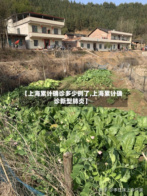 【上海累计确诊多少例了,上海累计确诊新型肺炎】-第2张图片