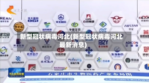 新型冠状病毒河北(新型冠状病毒河北最新消息)