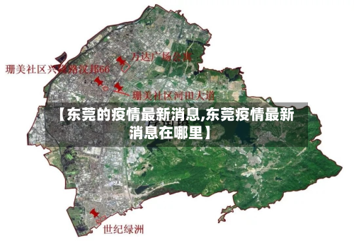 【东莞的疫情最新消息,东莞疫情最新消息在哪里】
