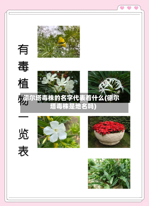 德尔塔毒株的名字代表着什么(德尔塔毒株是地名吗)