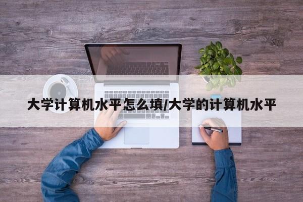 大学计算机水平怎么填/大学的计算机水平