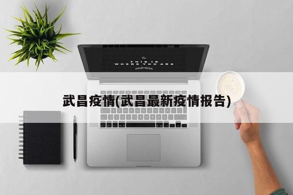 武昌疫情(武昌最新疫情报告)