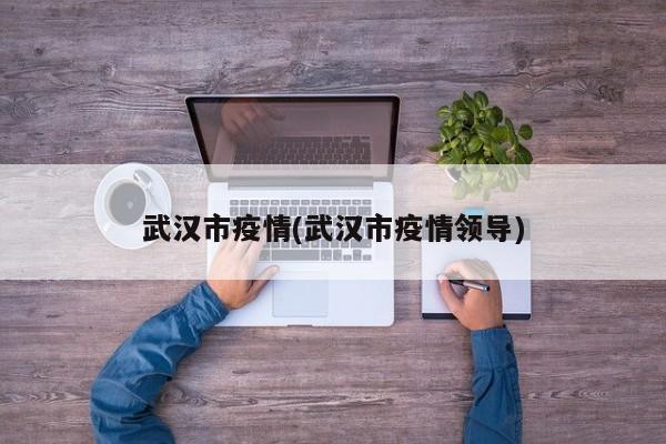 武汉市疫情(武汉市疫情领导)