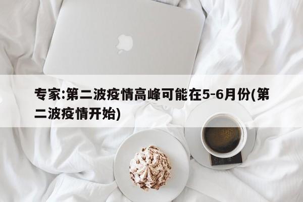 专家:第二波疫情高峰可能在5-6月份(第二波疫情开始)